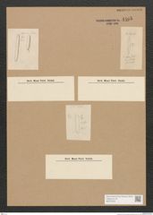 Diatomeae indet. Zeichnungen Sammlung Grunow Nr. 4465 (NHMW-BOT-W0372423)